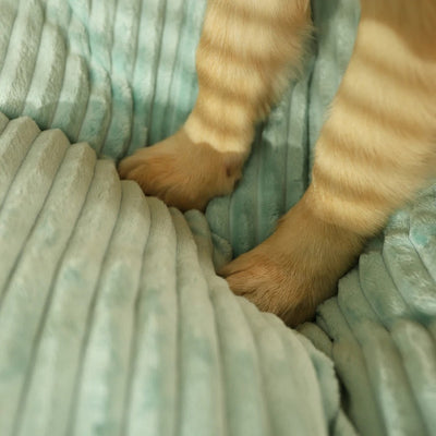 取り外し可能なカバー付き整形外科用犬用ベッド