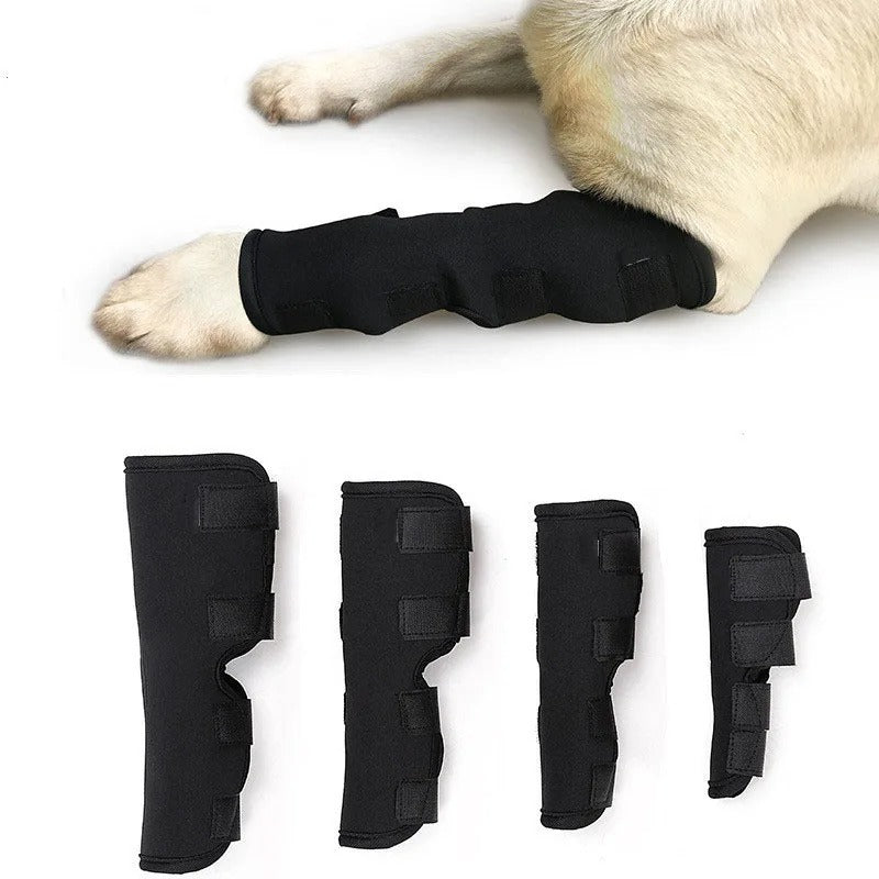 Knee Brace for Dogs
