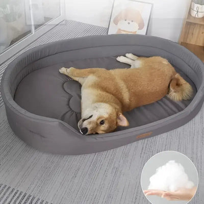 整形外科用犬用ベッド