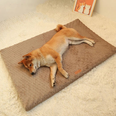 Orthopedic Dog Cushion with Washable Cover