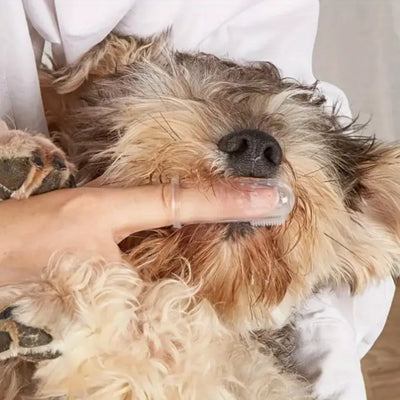 Pet Toothbrush