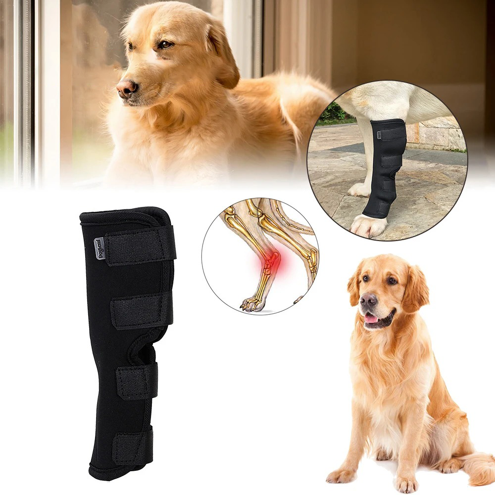 Knee Brace for Dogs