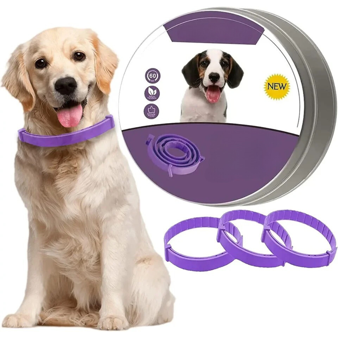 Pheromone Collar