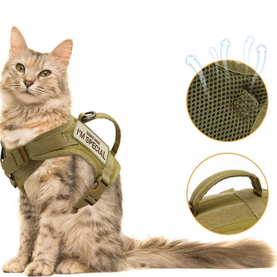 Nylon Cat Harness with Handle