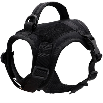 Nylon Cat Harness with Handle