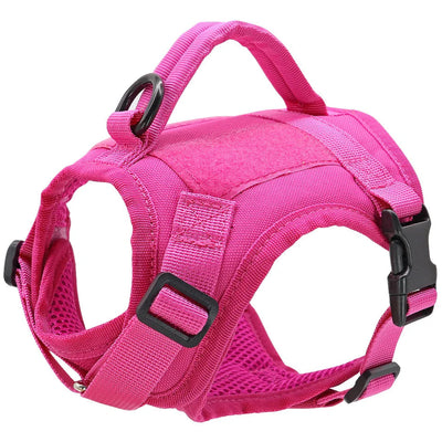 Nylon Cat Harness with Handle