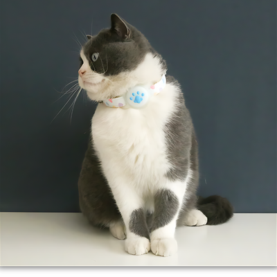AirTag Cat Collar