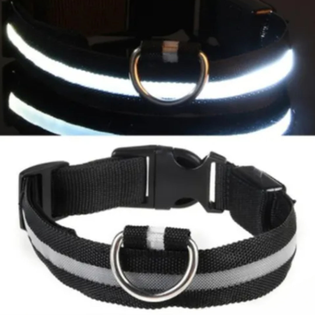 BrightPaws LED Pet Collar