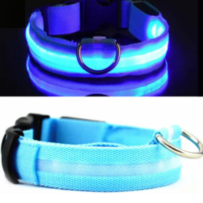 BrightPaws LED Pet Collar