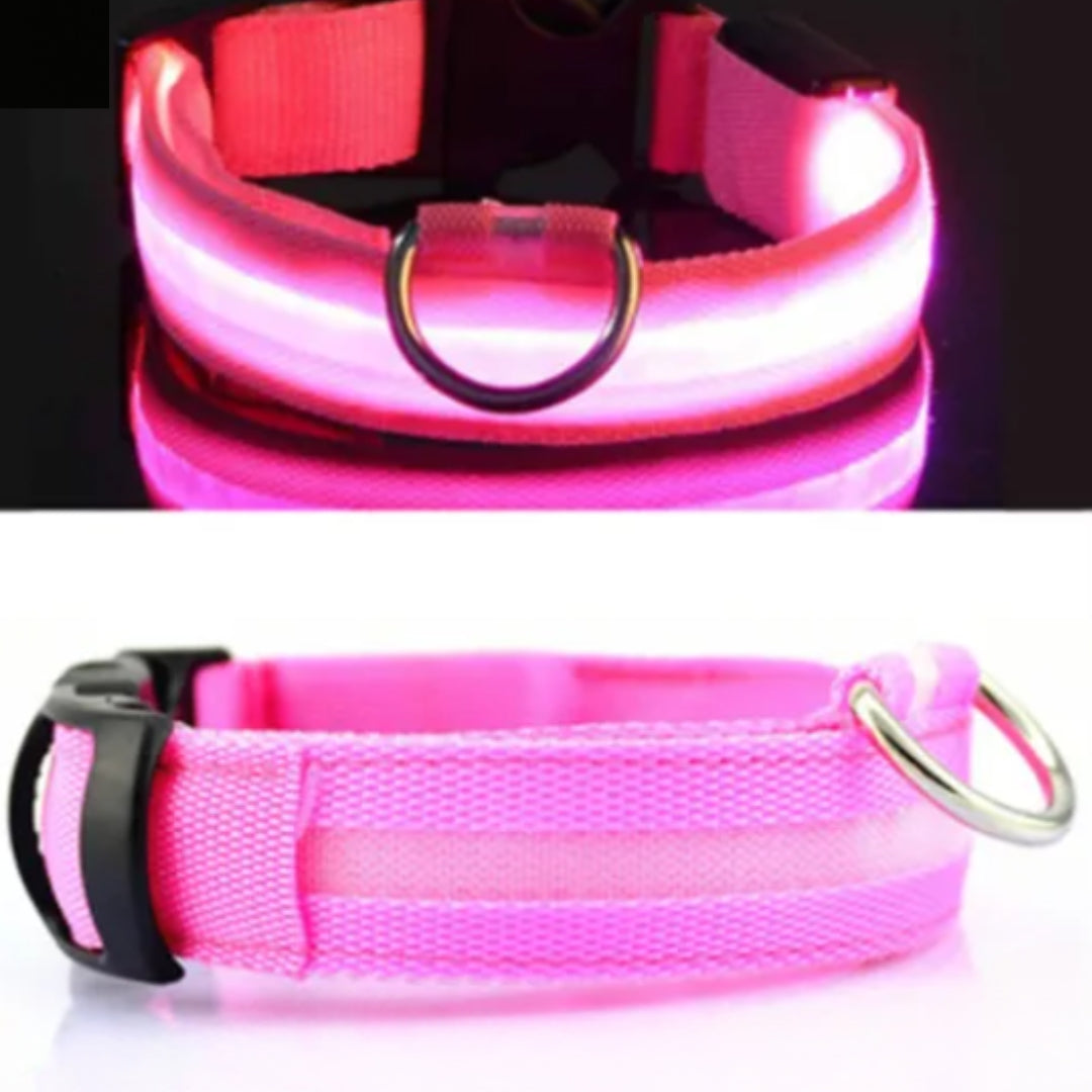 BrightPaws LED Pet Collar