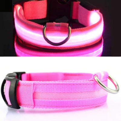 BrightPaws LED Pet Collar