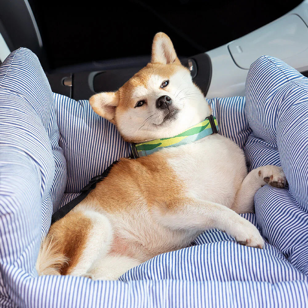 Comfortable dog bed for the car