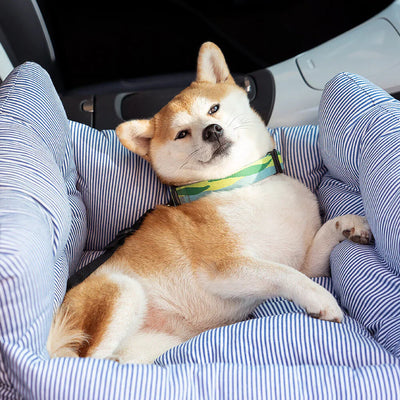Comfortable dog bed for the car