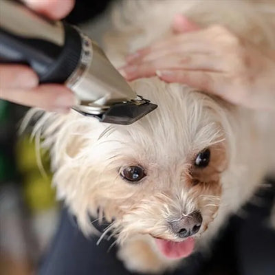 Silent Fur Trimmer for Dogs