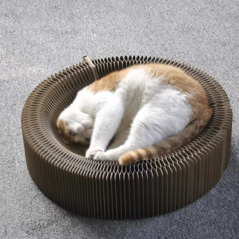 猫のための魔法のゲームと爪とぎベッド