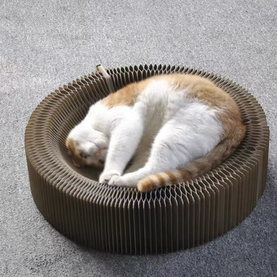 猫のための魔法のゲームと爪とぎベッド