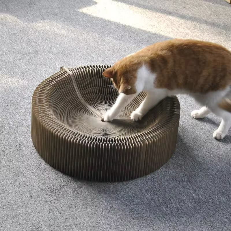 猫のための魔法のゲームと爪とぎベッド
