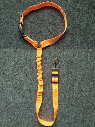 Dog Car Safety Belt