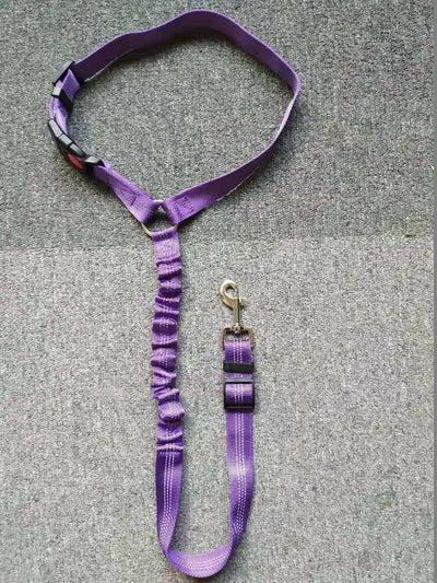 Dog Car Safety Belt