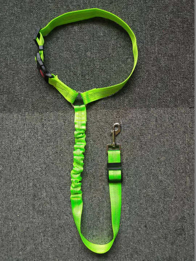 Dog Car Safety Belt