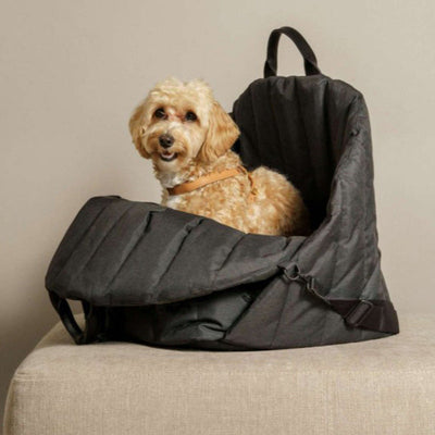 Luxury Pet Carrier Bag