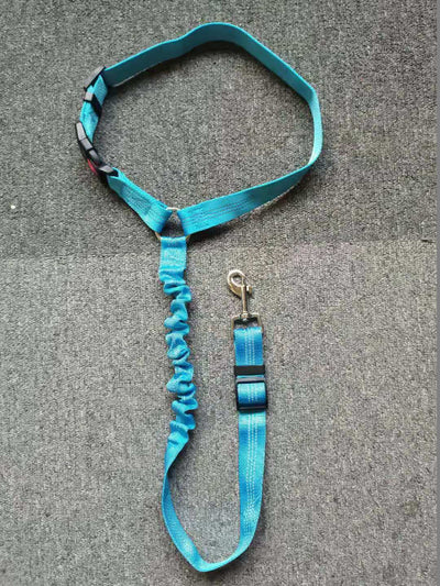 Dog Car Safety Belt