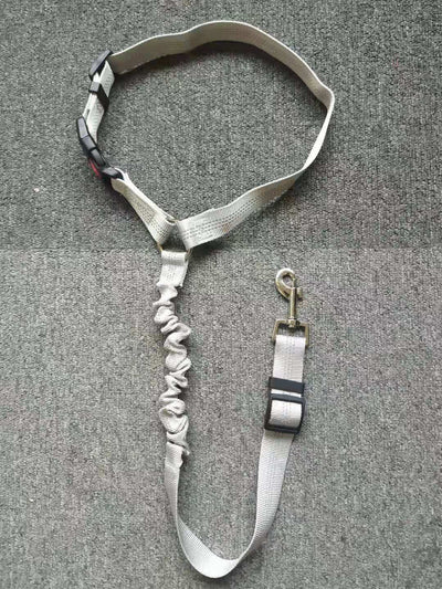 Dog Car Safety Belt