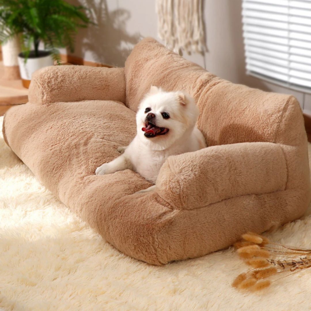 Soothing Sofa for Pets