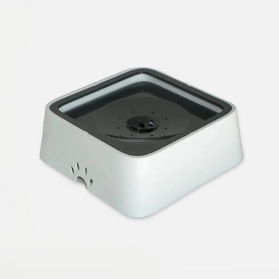 Zero Splash Dog Water Bowl