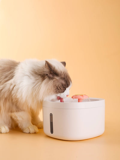 LEDインジケーターと花のデザインを備えたペット用ウォーターファウンテン