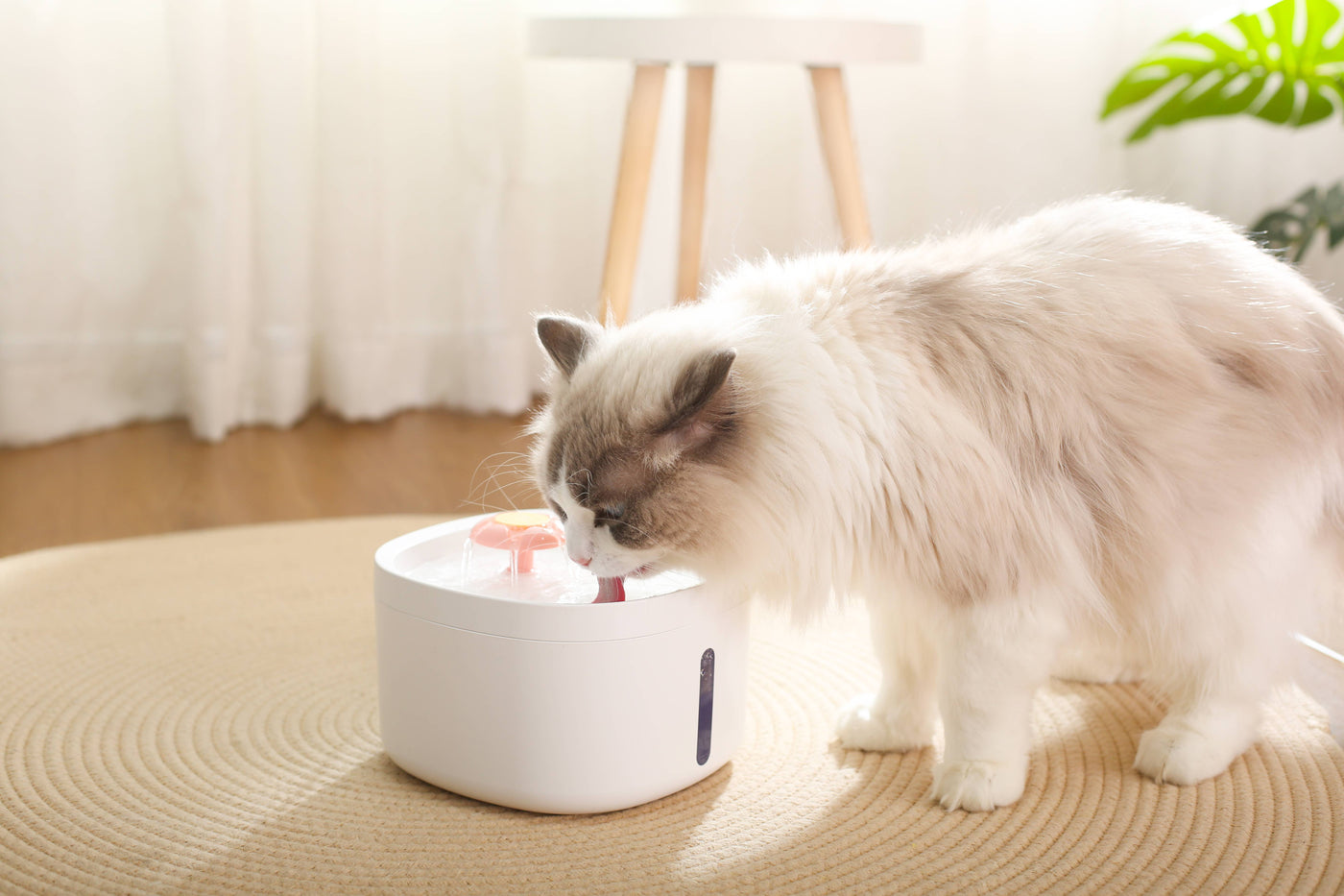 LEDインジケーターと花のデザインを備えたペット用ウォーターファウンテン