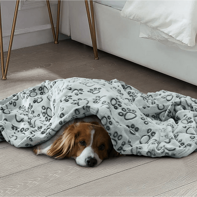Soft Calming Dog Blanket