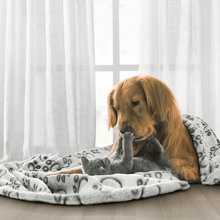 Soft Calming Dog Blanket