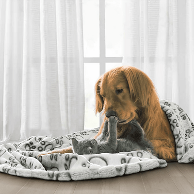 Soft Calming Dog Blanket