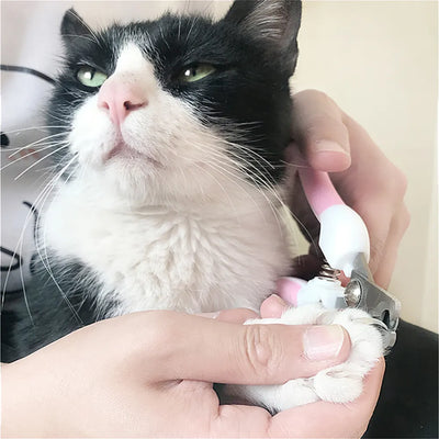 人間工学に基づいた鋭いスチール刃を備えた犬用爪切り