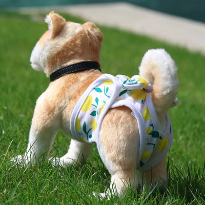 PawFitコットン犬用おむつ