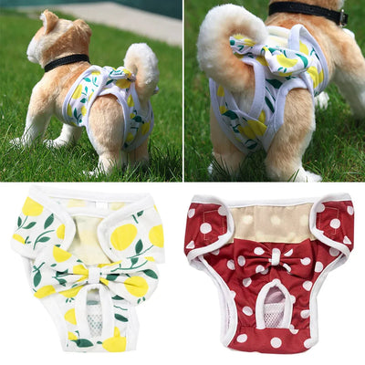 PawFitコットン犬用おむつ