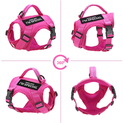 Nylon Cat Harness with Handle