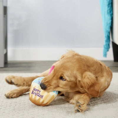 Dog Toy Birthday Set – Plush Cake, Cupcake & Bone with Squeaker Function