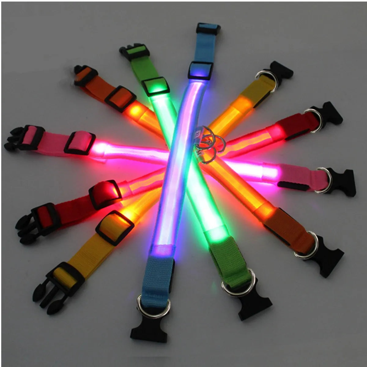 BrightPaws LED Pet Collar