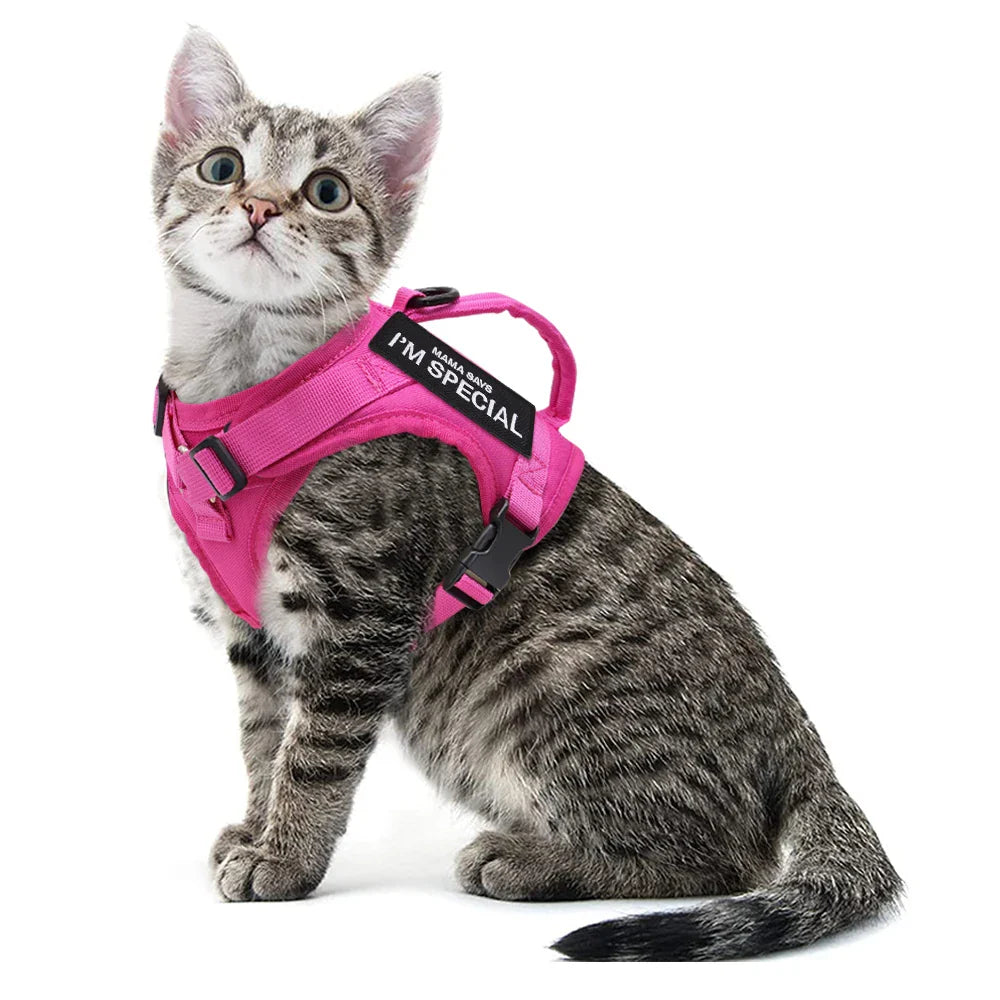 Nylon Cat Harness with Handle
