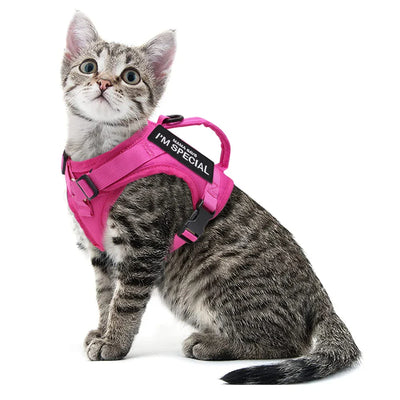 Nylon Cat Harness with Handle