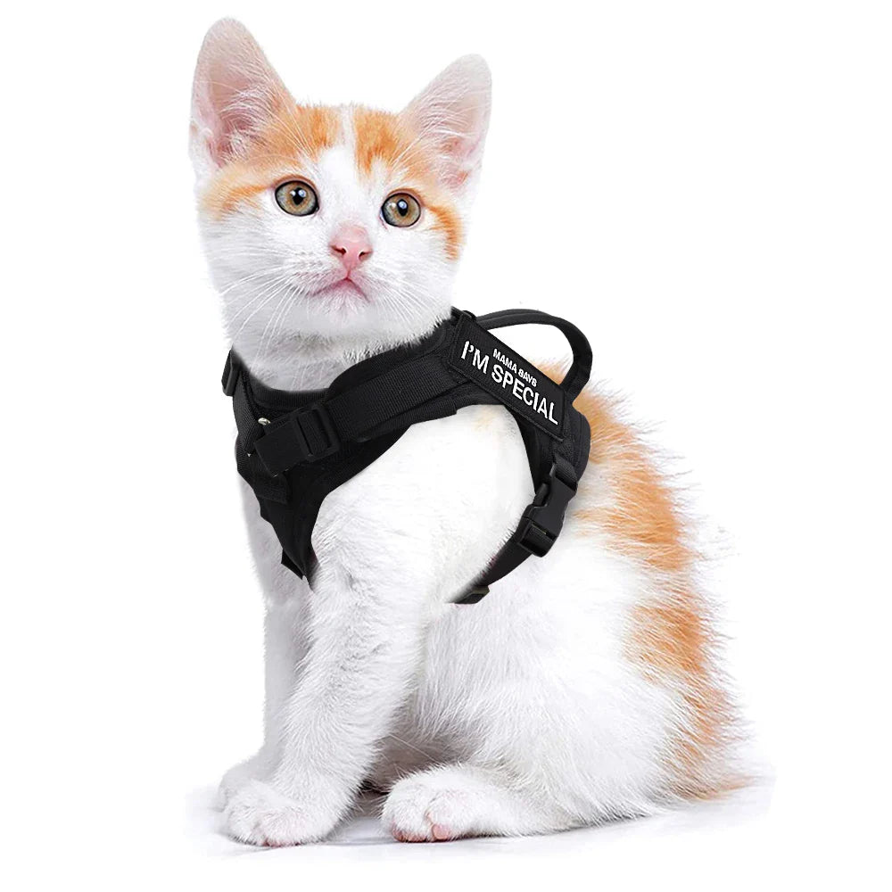 Nylon Cat Harness with Handle