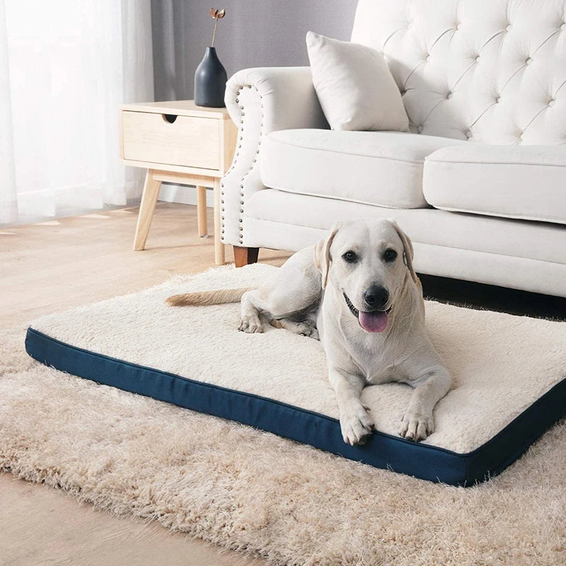 Large Plush Memory Foam Dog Bed