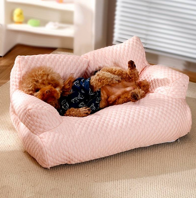 FreshyPaws - The cooling pet bed!