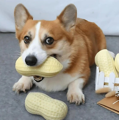 Peanut-shaped dental chew toy for dogs