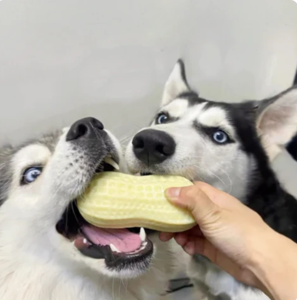 Peanut-shaped dental chew toy for dogs