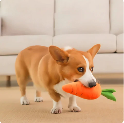 Plush Carrot for Dogs - Interactive Play and Cuddle Toy