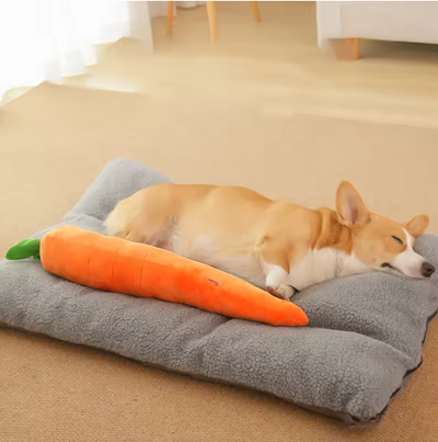Plush Carrot for Dogs - Interactive Play and Cuddle Toy