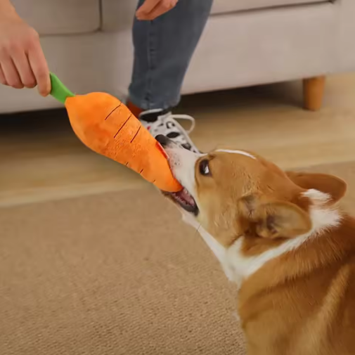 Plush Carrot for Dogs - Interactive Play and Cuddle Toy